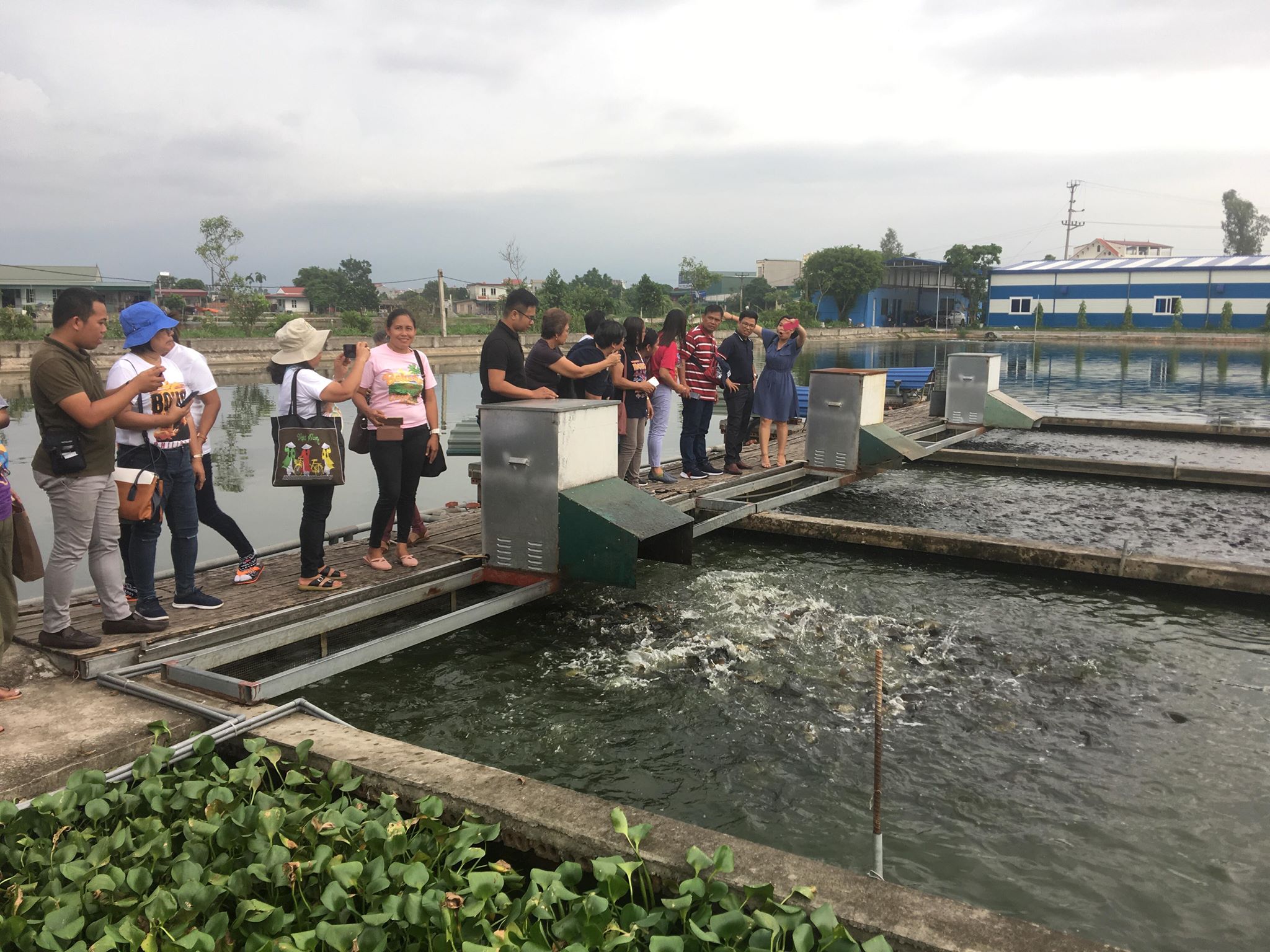 Mô hình nuôi trồng thủy sản công nghệ cao tại Việt Hải Dương